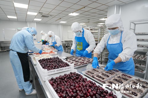 除夕探访在榕创业的台胞陈依媄 不打烊工厂里的别样年味