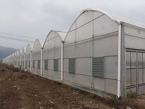 福建龙泰农用机械公司 图 福州蔬菜大棚电话 福州蔬菜大棚