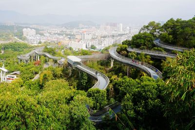 福道,悬空穿林的幸福之道