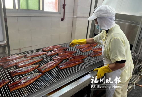 长乐全力向 海上粮仓 进军 研发水产品预制菜提升海蚌产业影响力